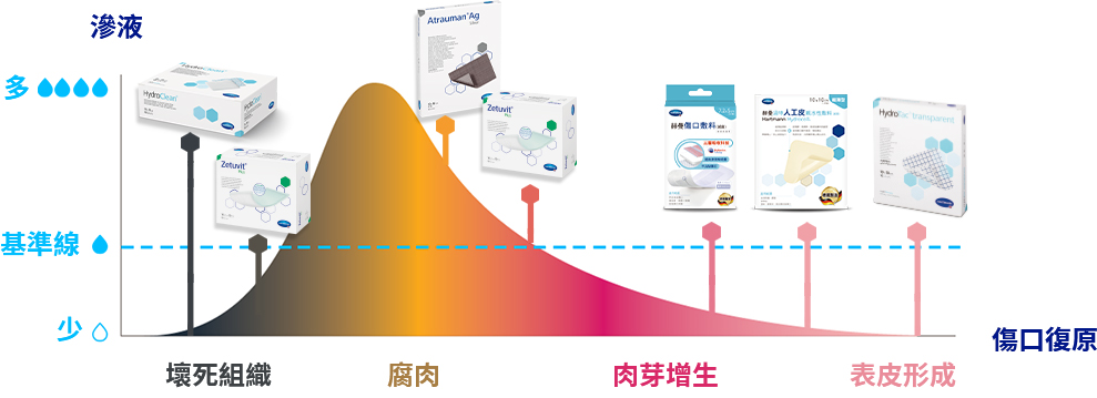 德國赫曼全方位產品線%的困難傷口